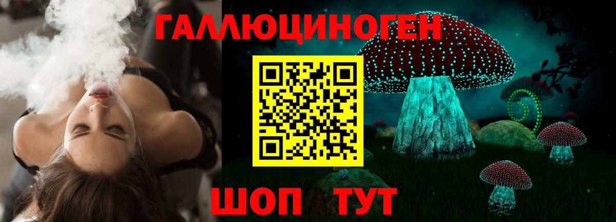 Псилоцибиновые грибы GOLDEN TEACHER  Псилоцибиновые грибы MAGIC MUSHROOMS  Каменск-Уральский  Вход с VPN 